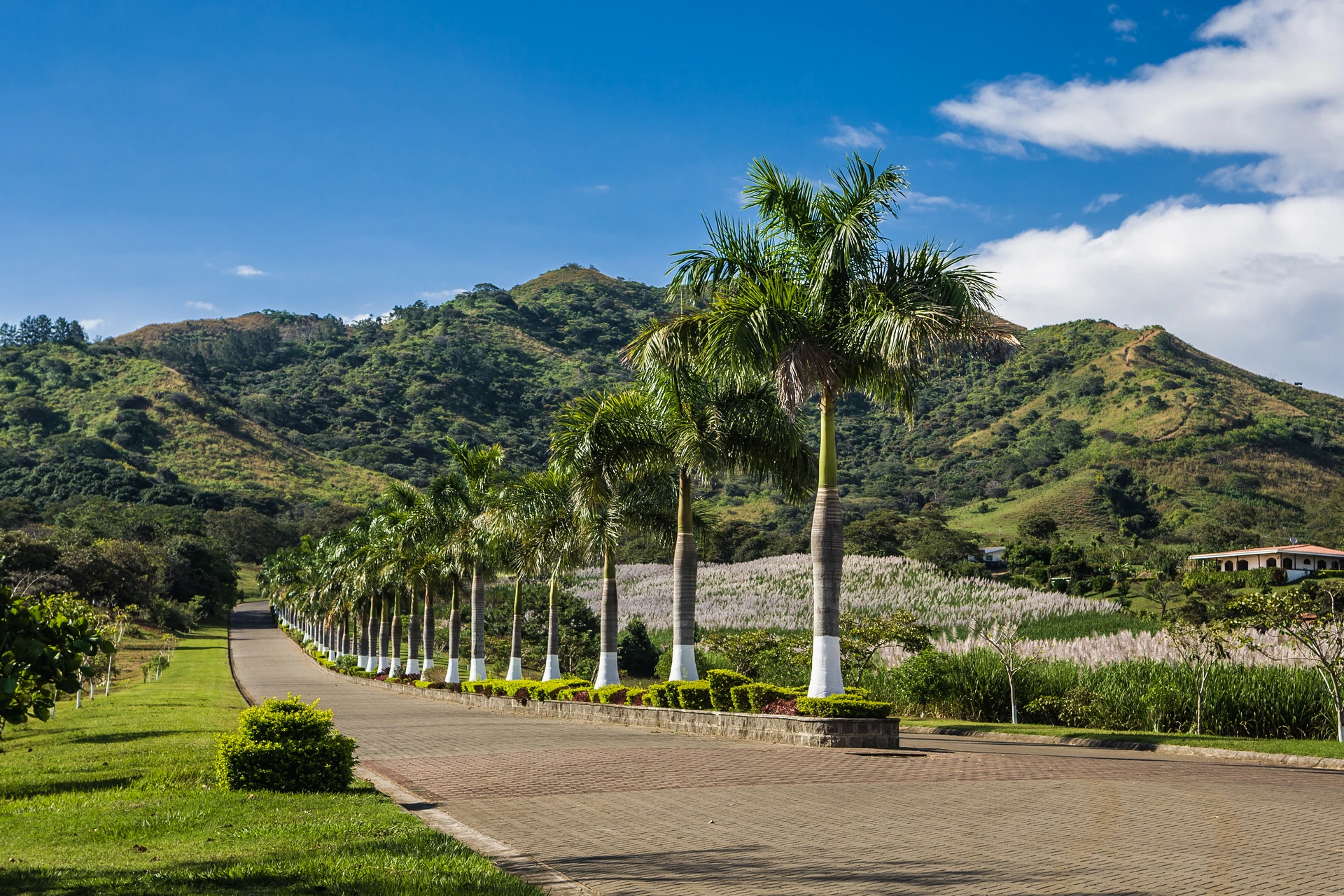 Boulevard
